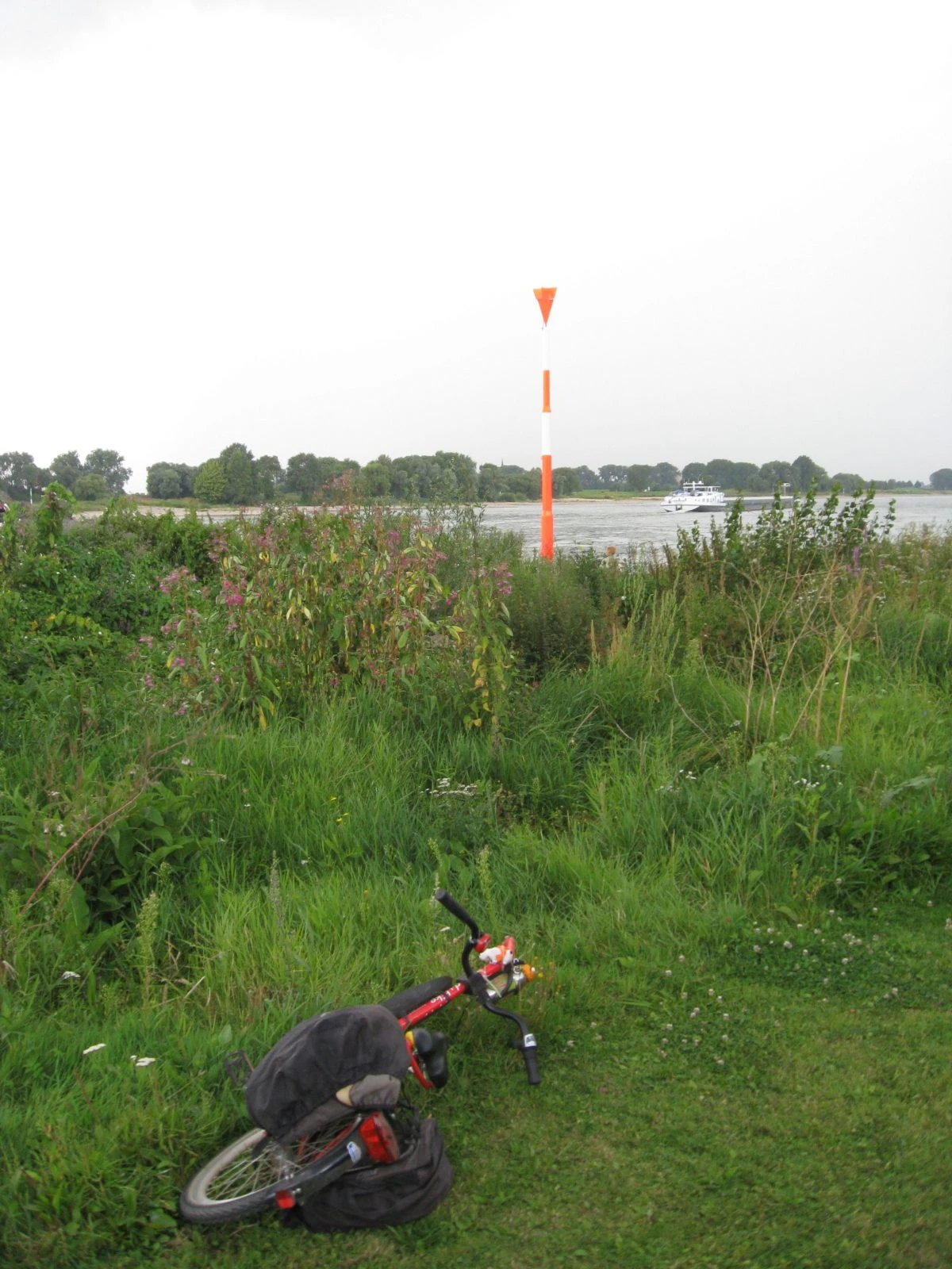 aan de oever van de Rijn